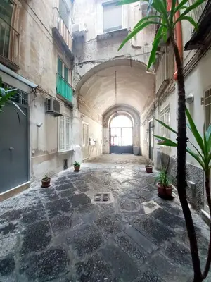 Planimetria di Piccola Partenope