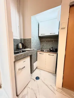 Cucina o angolo cottura di Naples Apartment Plebiscito
