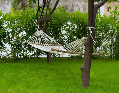 Giardino di Il Paradiso di Dante