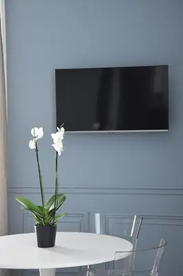 TV o dispositivi per l'intrattenimento presso Maccus Suite