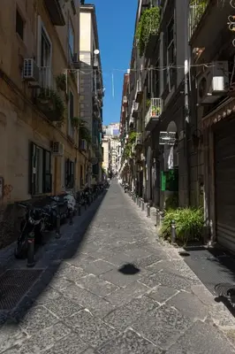 Il quartiere o una zona nella vicinanze dell'appartamento