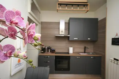 Cucina o angolo cottura di Casa Vacanze Oikia - Room Orchidea