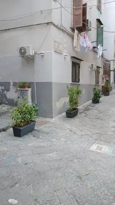 Planimetria di 