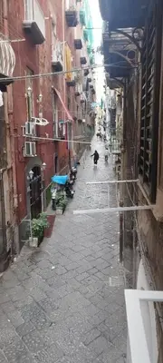 Il quartiere o una zona nella vicinanze dell'appartamento