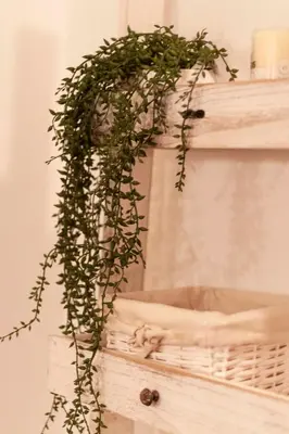 Planimetria di Rifugio romantico a Napoli