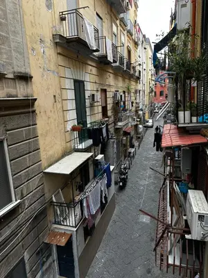 Il quartiere o una zona nella vicinanze dell'appartamento