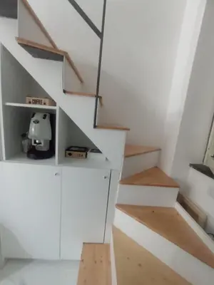 Planimetria di Dana house