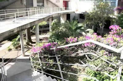 Giardino di Apartmento Centrale Vista Capri