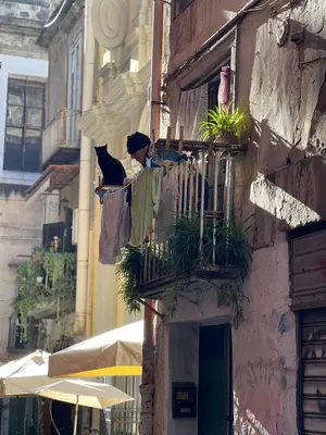 Edificio in cui si trova l'appartamento