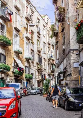 Il quartiere o una zona nella vicinanze dell'appartamento