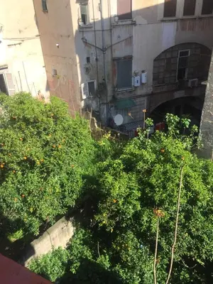 Edificio in cui si trova l'appartamento