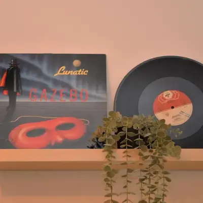 Vinyls' Green Home - Toledo Centro Storico