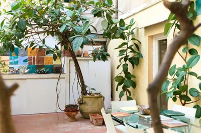 Giardino di Tribu apartment