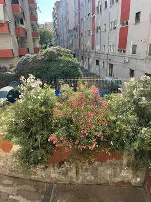 Giardino di La casa di Gastone