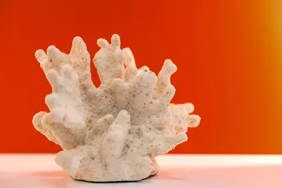 Planimetria di NUOVO appartamento nel cuore di Napoli AT TWENTY ONE - CORAL