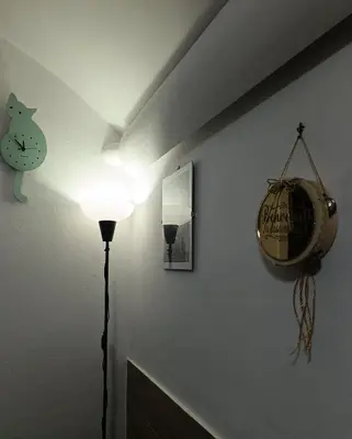 Planimetria di The white cat