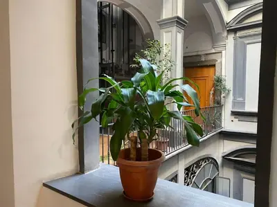 Balcone o terrazza di CASA SANGIÓ Appartamento nel cuore di Napoli