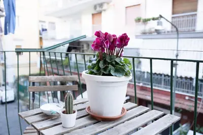 Balcone o terrazza di Debby's Home