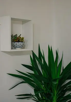 Planimetria di House of Totonn