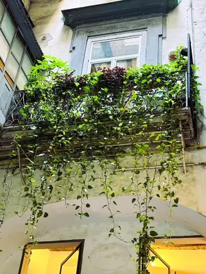 Giardino di Toledo House 289