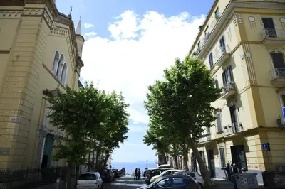 Il quartiere o una zona nella vicinanze del bed & breakfast