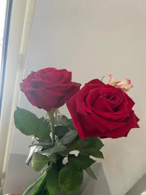 Planimetria di Home Cuore di Napoli 5