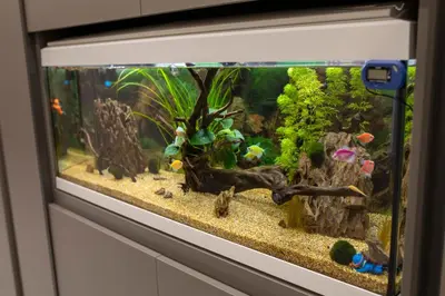 Planimetria di Maison D'élite