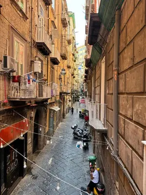 Il quartiere o una zona nella vicinanze dell'appartamento