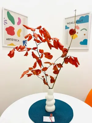 Planimetria di Alleria suites napoli