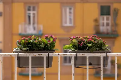 Balcone o terrazza di Riviera Collection - Rooms and Suites