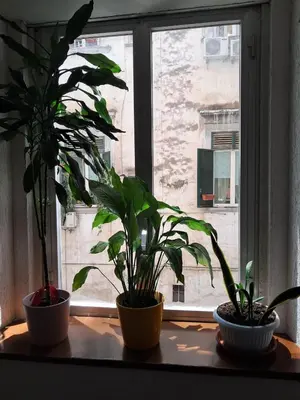 Planimetria di 10elode House