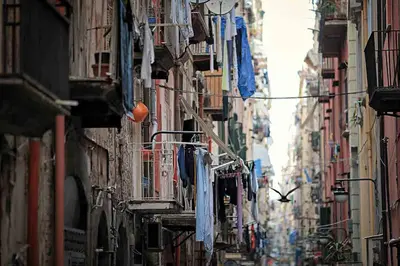 Il quartiere o una zona nella vicinanze dell'appartamento