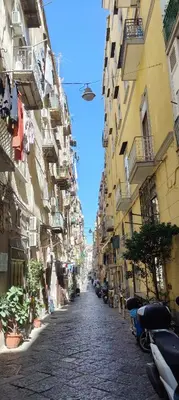 Il quartiere o una zona nella vicinanze dell'appartamento