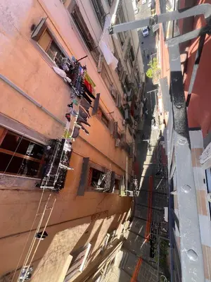 Ospiti di Gradini dell arte