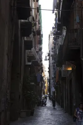 Il quartiere o una zona nella vicinanze del bed & breakfast