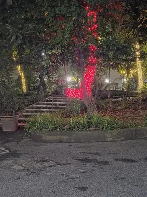 Giardino di La casa di Lucia