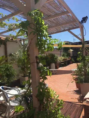 Giardino di B&B La Terrazza Napoli
