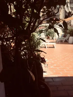 Giardino di B&B La Terrazza Napoli