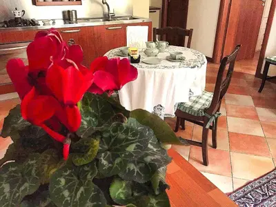 Cibo presso l'appartamento o nelle vicinanze