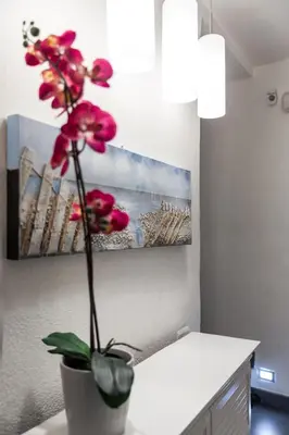 Planimetria di WELLNESS HM wellness home By Dimorra