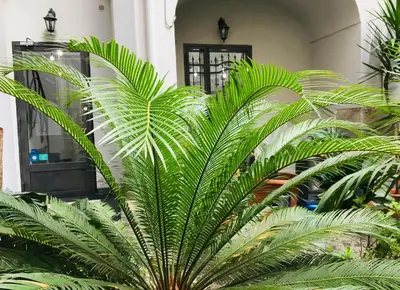 Giardino di B&B Fiumara