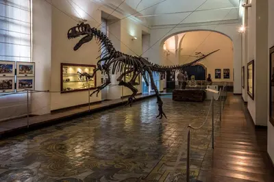 Planimetria di Art Suite nel Cuore di Napoli