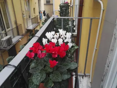 Planimetria di Viky's Home B&B