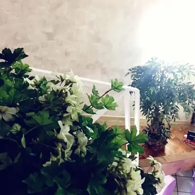 Suite Orchidea by Dimorra