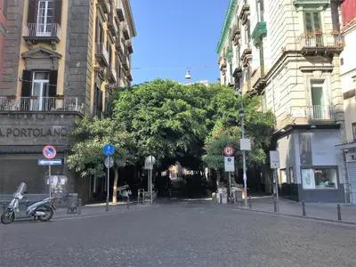 Il quartiere o una zona nella vicinanze del bed & breakfast