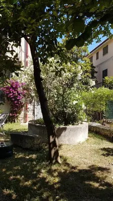 Giardino di Il Giardino Di Vico Neve