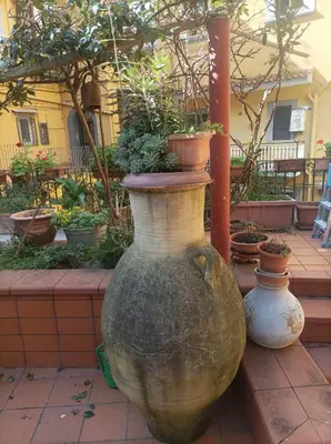 Giardino di Il giardino nascosto