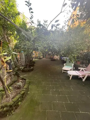 Giardino di Il giardino nascosto