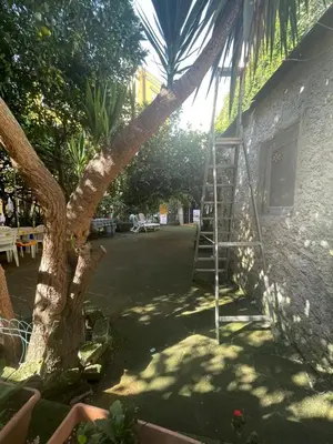 Giardino di Il giardino nascosto