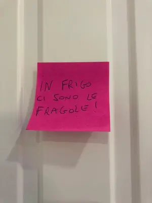 Planimetria di Antica Capri